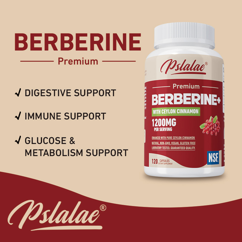 Берберин - антиоксидант, подде – обзор и цена Berberine Hcl Capsule