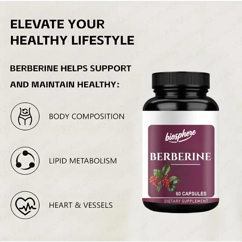 Berberine Supplement-60 вегета – обзор и цена Berberine Hcl Capsule